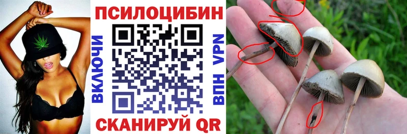 Псилоцибиновые грибы Psilocybine cubensis blacksprut вход Юхнов