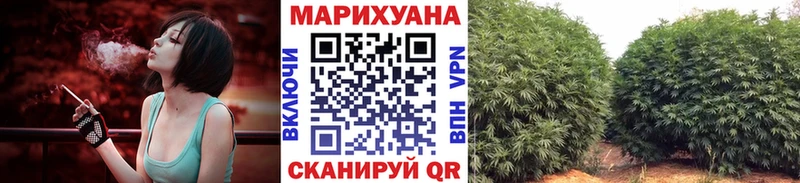 Каннабис планчик  Юхнов 